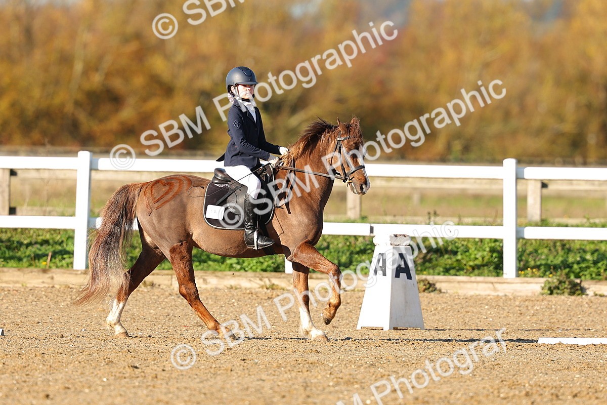 SBM_000241 - Prelim 5