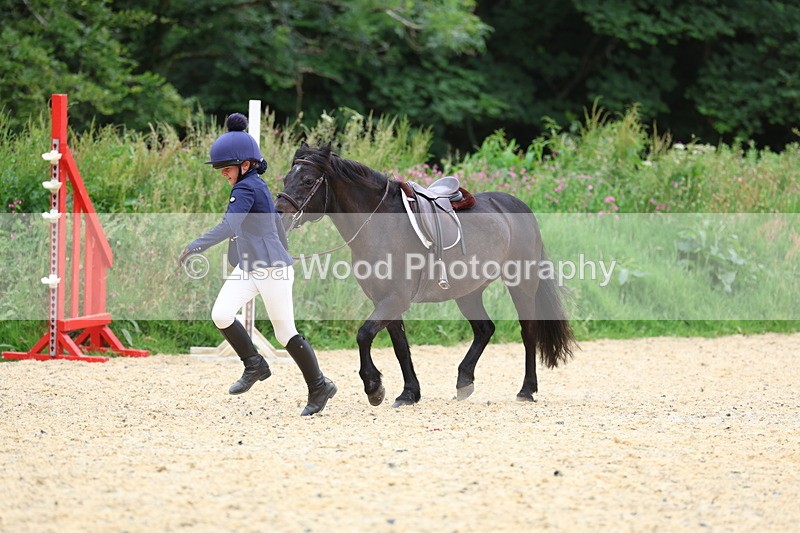 3E7A9334 - Walk trot run