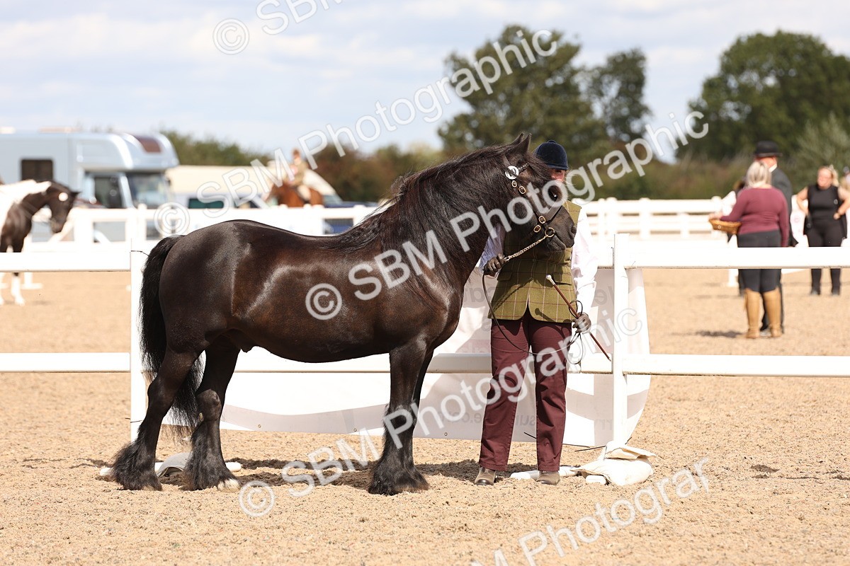 SBM_15038 - Class 209 - IH Veteran Pony