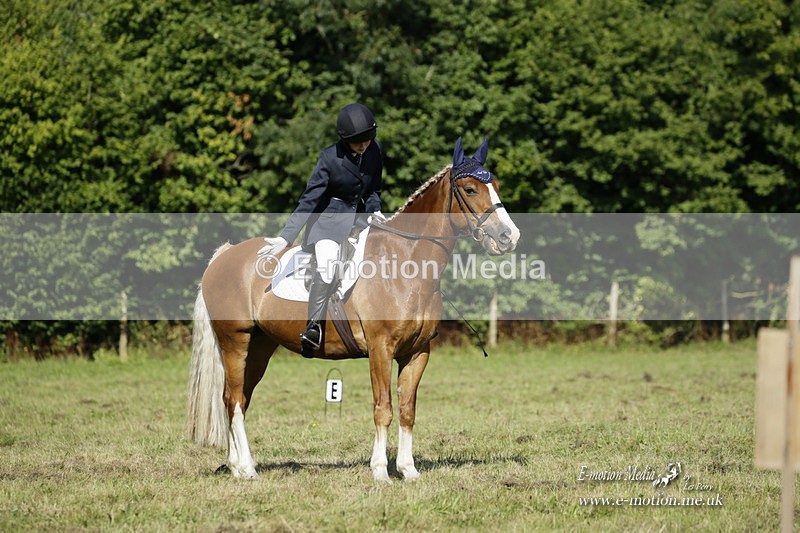 BVRC 120921 212 - Bourne Valley Riding Club UA Dressage & Show Jumping 12/09/21