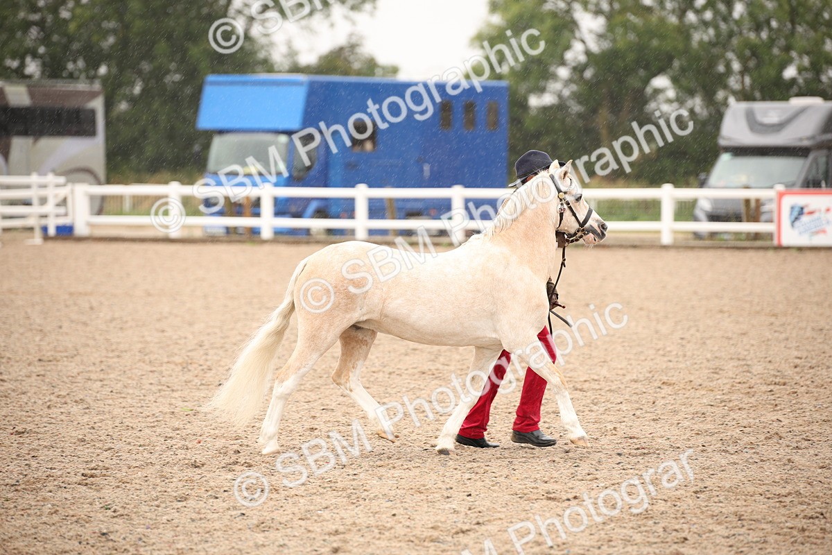 SBM_20686 - Class 705 - IH  Combination 65+