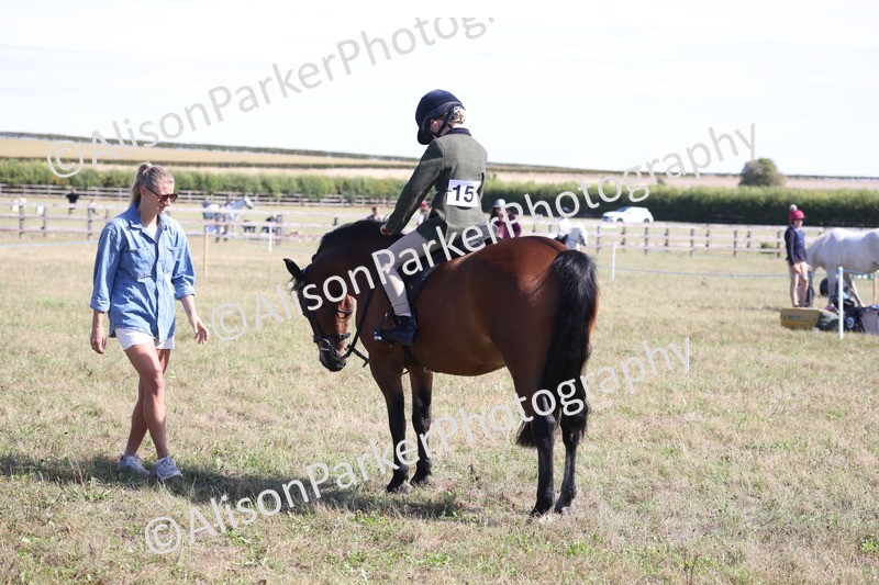 20260906-2240 - Class 16 - Family Pony