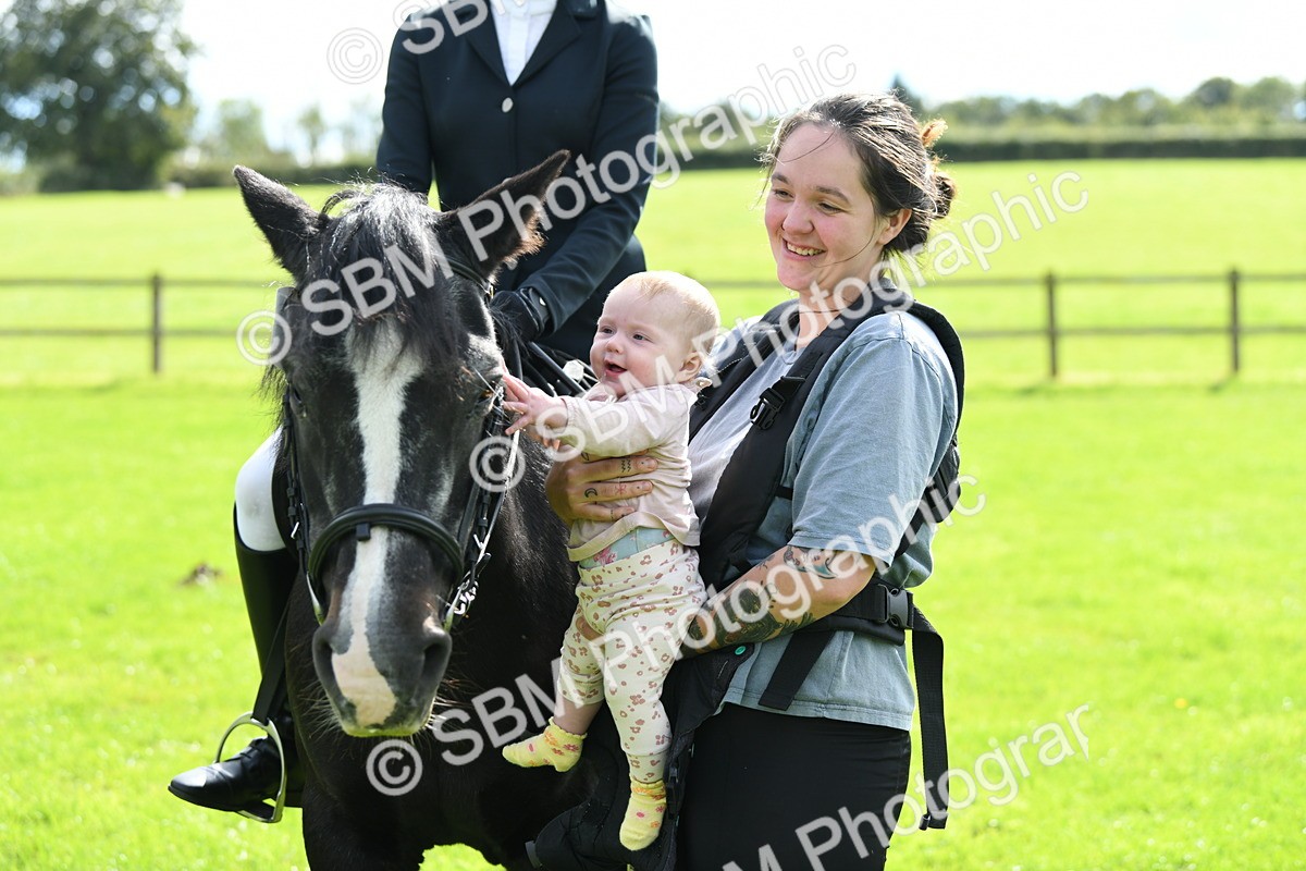 SBM_46820 - S12 - Family Horse & Pony