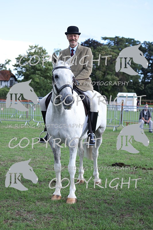 APP_4166 - Class 15a/b Pony club pony/Riding club horse