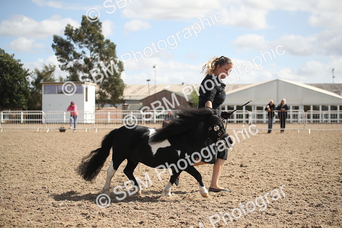 SBM_23140 - Class 606 - 2026 - Area - IH Pre Vet