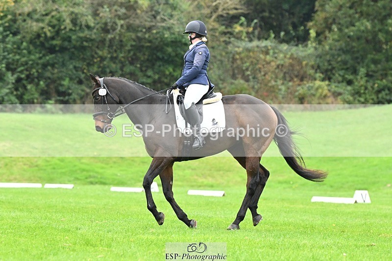 241024-144815-04614 - 420-Pip.Howarth-OTTAVA