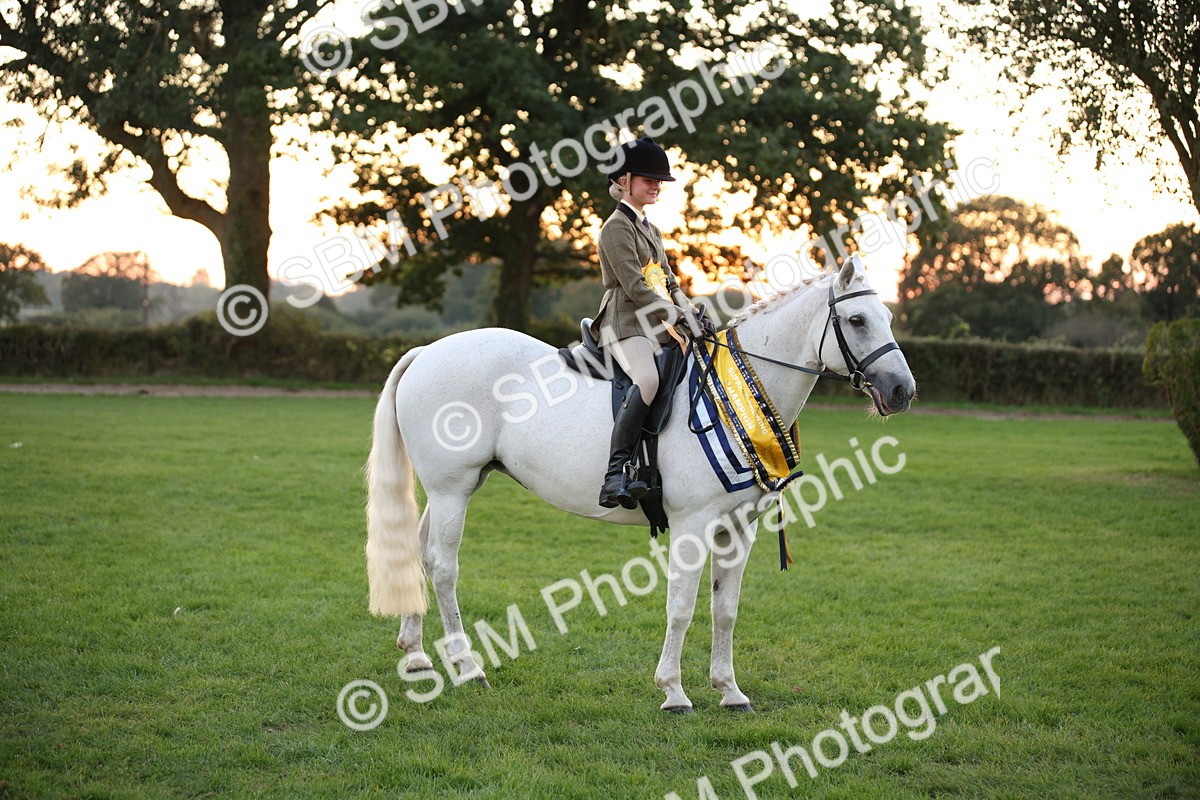 SBM_57118 - Super Supreme Championship