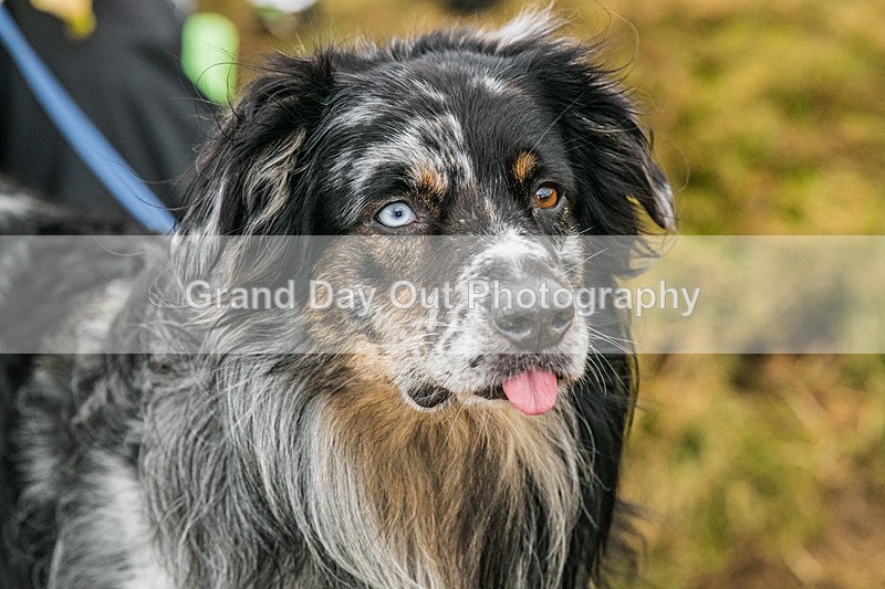 BOS-11 - Kong Running B.O.S. (Barrow, Outerside, Stile End) Fell Race Saturday 24th January 2026