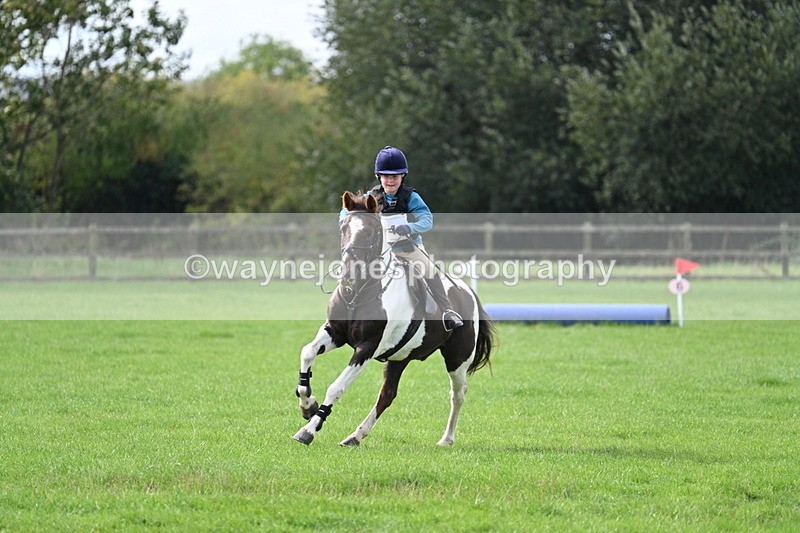 WJ7_8466 - 60cm Pairs