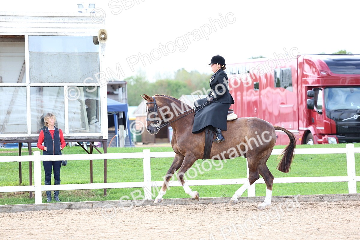 SBM_03208 - Class 22 - SSA Equitation (any age)
