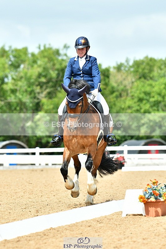 230702A-141107-10597 - Cls 32 Medium 73