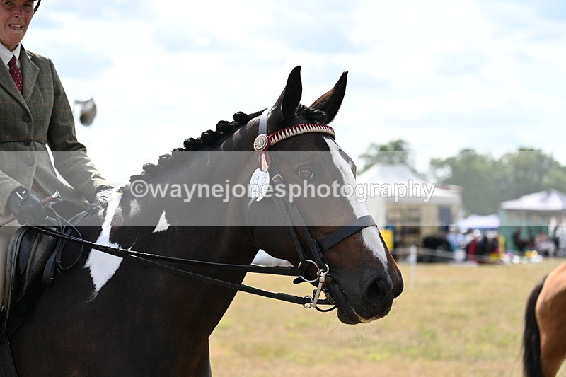 WJ7_6171 - Class 13 Ridden Veterans