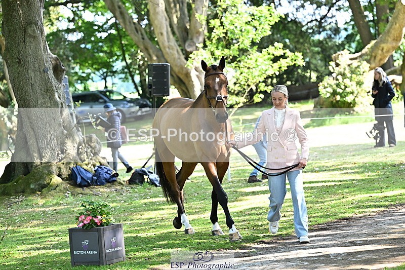 250521A-154600-00744 - B-364-Yasmin.Ingham-KINDA.CORVETTE