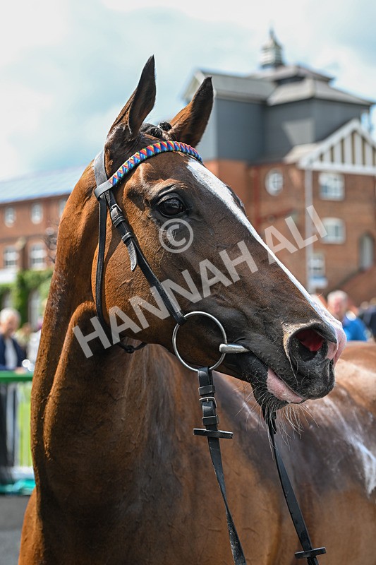 060625-Race 3-Miss Rainbow-4564 - Race 3