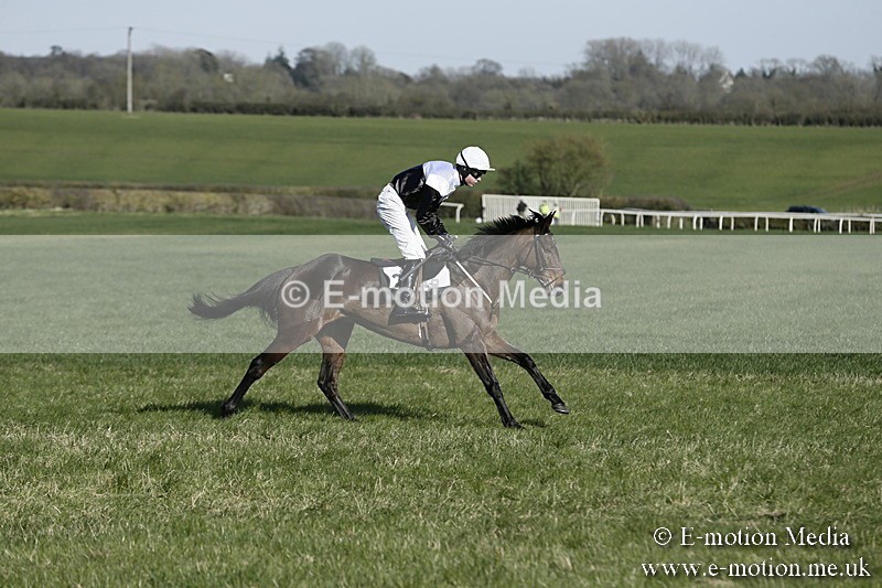 PtP 250317 253 - V.W.H. Hunt Point-to-Point Siddington 25/03/17