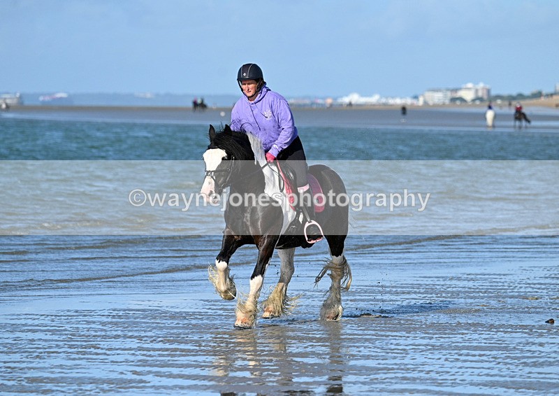 WJ7_3210 - Kellie & Churchill ... do Hayling Island 25-08-24