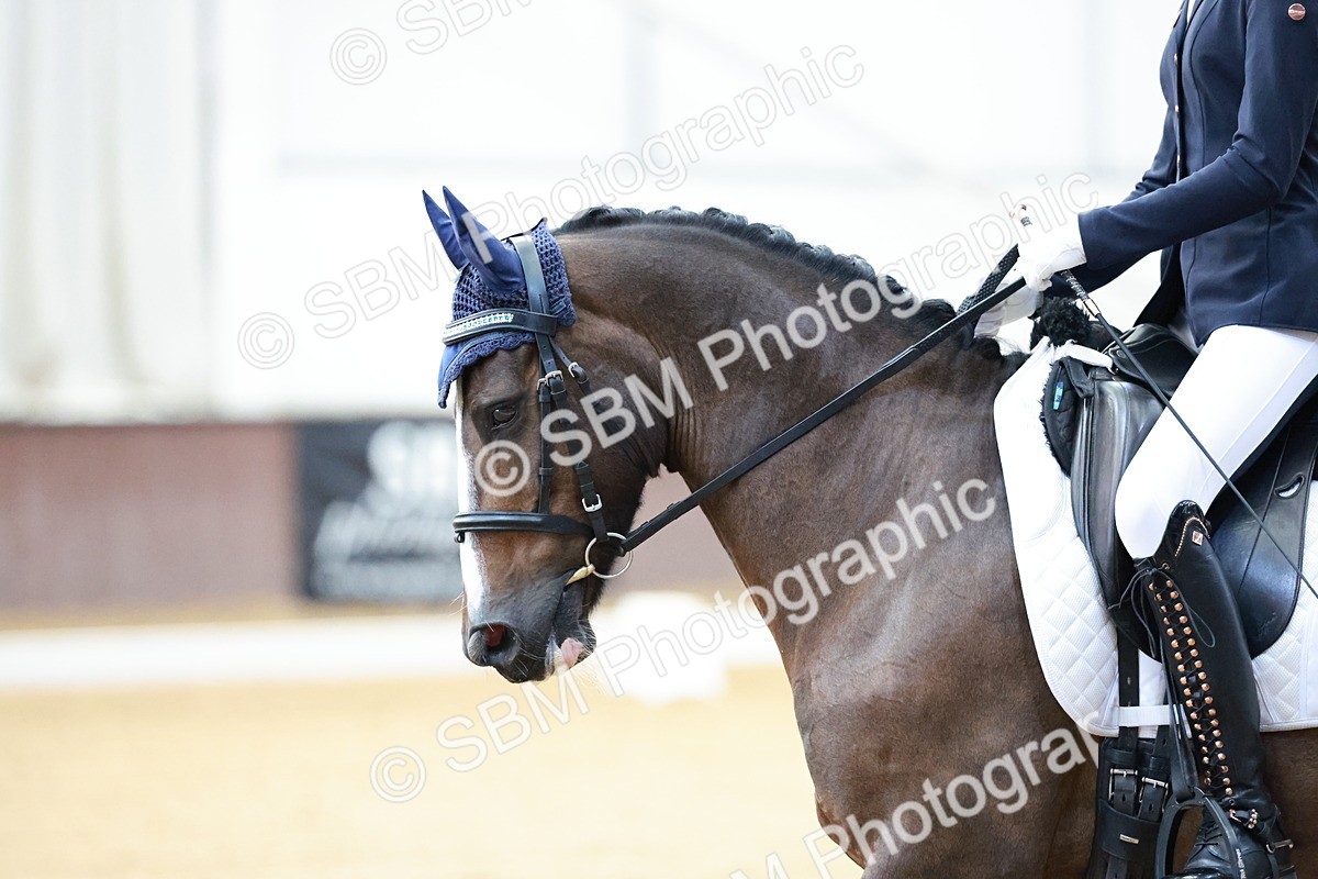 SBM_016807 - Class15 - FEI Pony