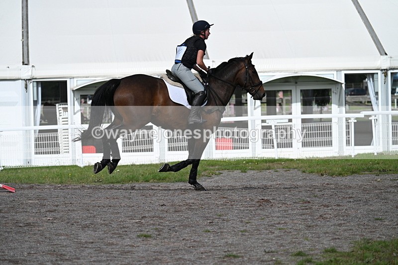 WJ7_9905 - Time 11:02 to 11:34