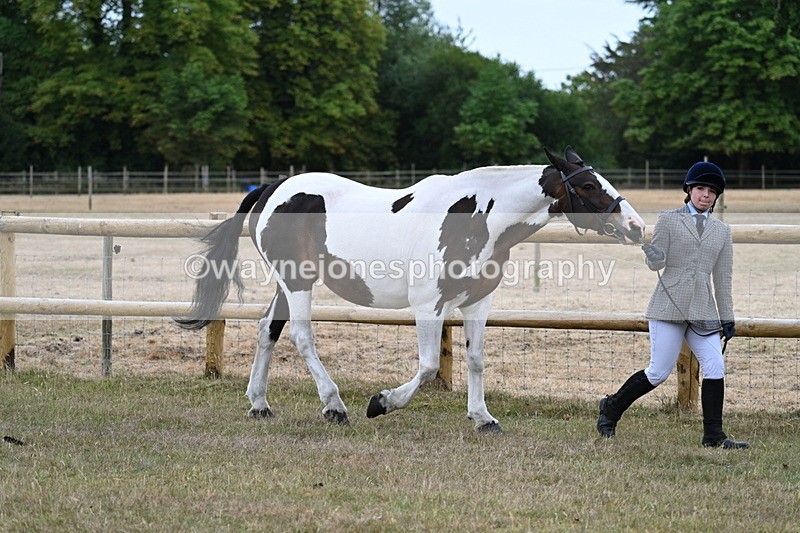 WJ7_8847 - Class 4a Prettiest Mare 14.2hh and over