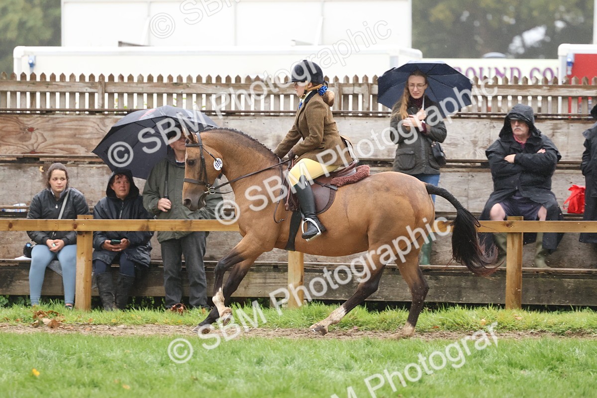 SBM_73039 - S63 Show Pony & Show Hunter Pony Ridden