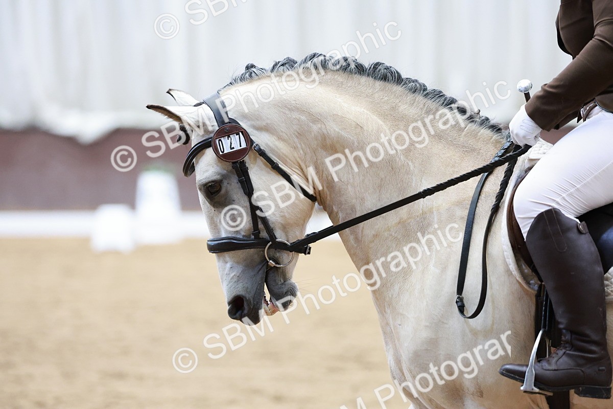 SBM_003546 - Class 4 - Prelim 3