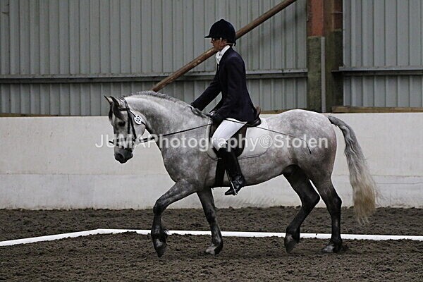 SIAL4017 - CAbin Dressage 5th july 2025