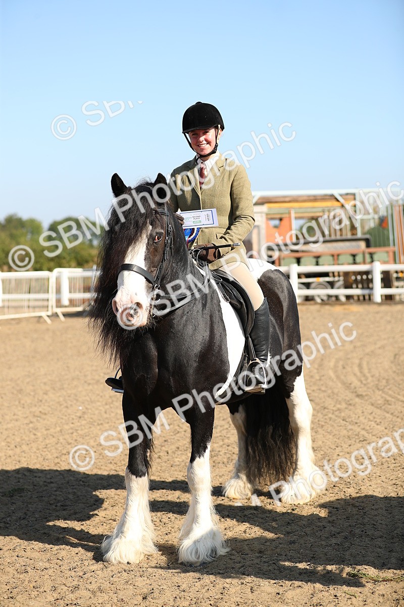 SBM_01236 - Class 42 Ridden Veteran