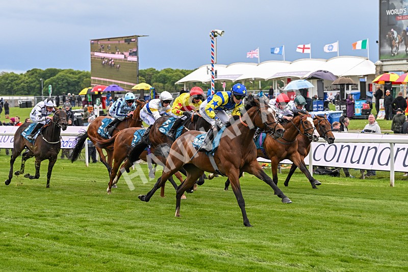 130526-Race 6-Startled-3441 - Race 6 4.40pm Conundrum HR Consulting Handicap