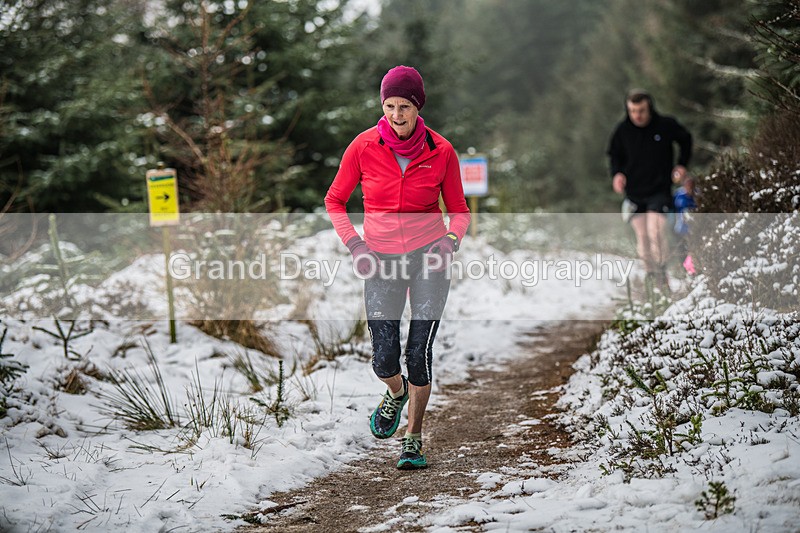 Glentress-1219 - High Terrain Events Glentress 10K 21K & 42K Trail Races Sunday 16th February 2025