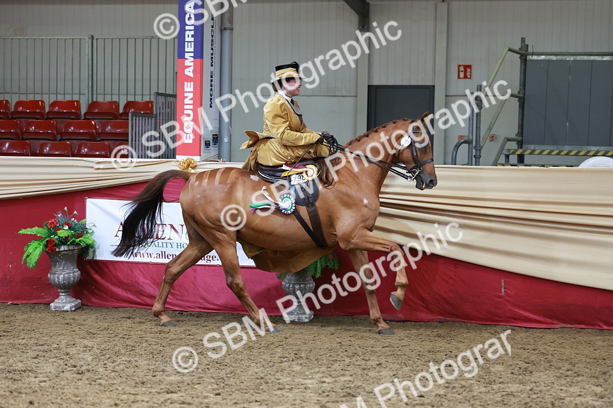 SBM_13653 - Class 105 - Ridden Costume - Side Saddle