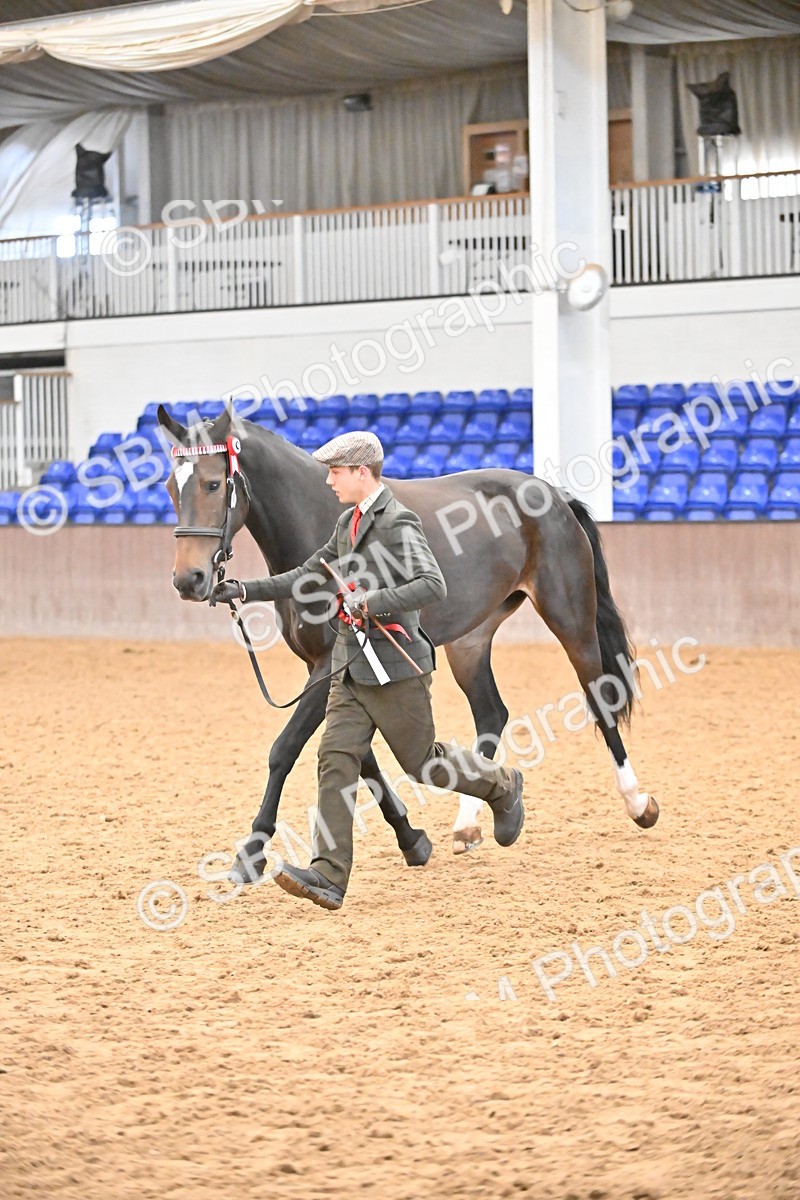 SBM_000780 - Class 16 - In Hand Showing Supreme Championships