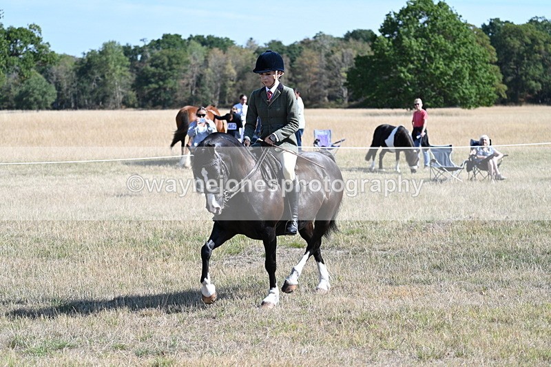 WJ7_3683 - Class 9 Mountain & Moorland Ridden