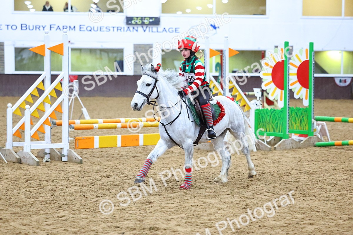 SBM_001350 - Class 3 - Christmas Tree Stakes - 60cm