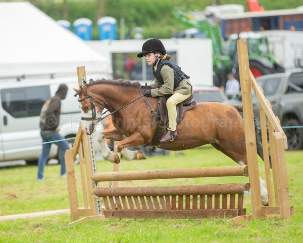 Dunblane show-225 - Dunblane and Doune Show Ring 1