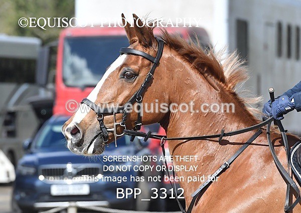 BPP_3312 - CLASS 4 Senior Discovery/ 1m Open