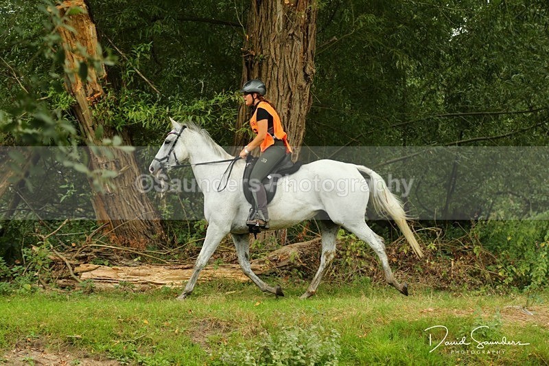 DSPX2414 - Unknown