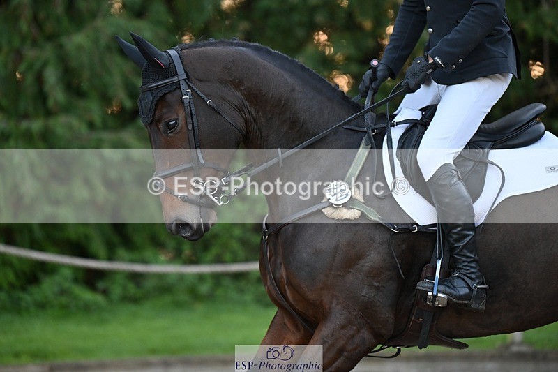 231022-090626-22805 - 210-TREGARON-Gubby.Leech-SJ