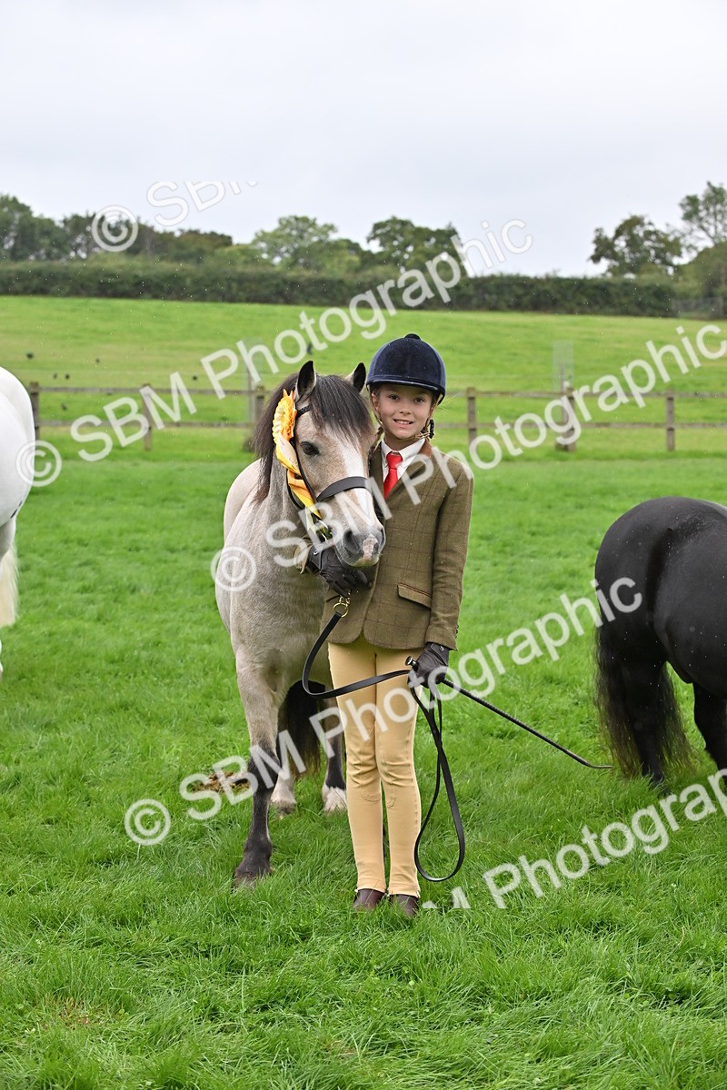 SBM_68630 - S42 - Junior Handler 9-12 Years