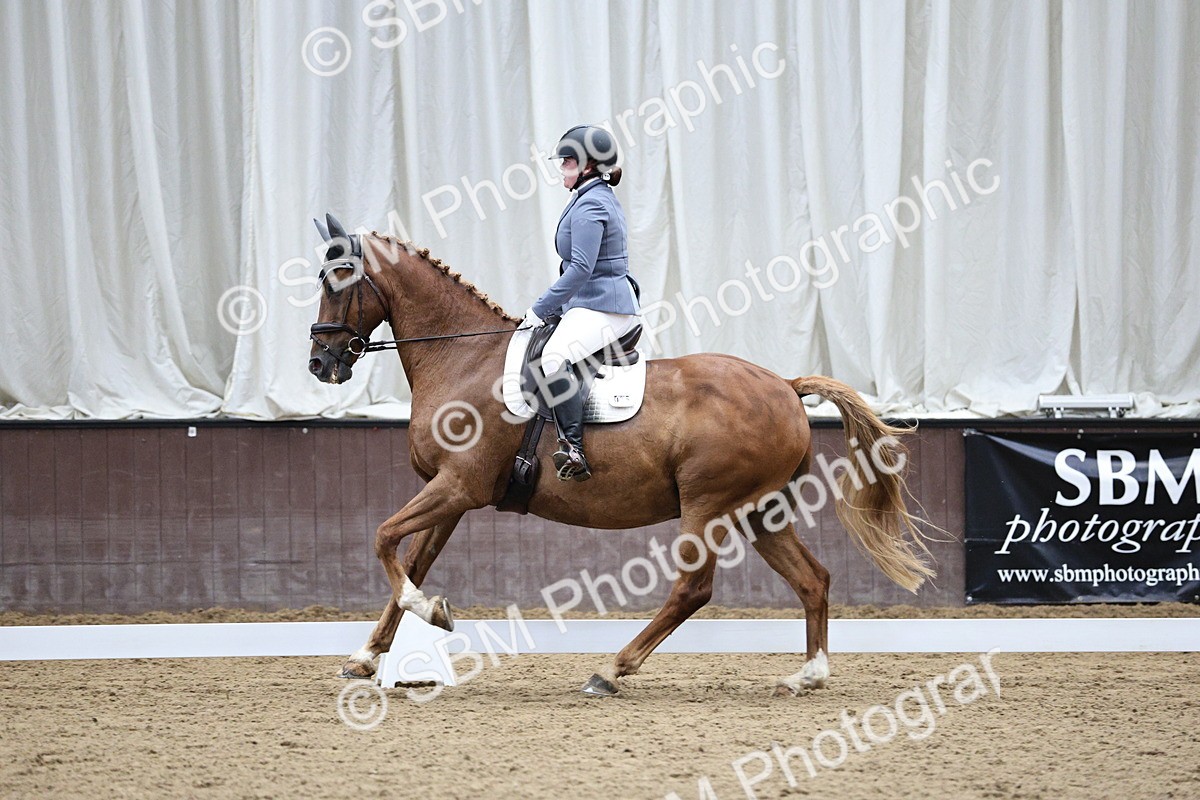 SBM_001264 - Class 5 - Novice 6