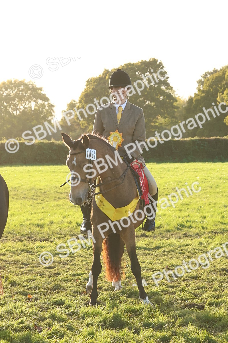 SBM_53183 - Veteran Supreme Championship