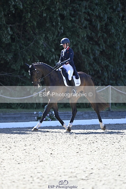 250522A-101417-02653 - B-310-Kitty.King-LISCARROW.FERNHILL