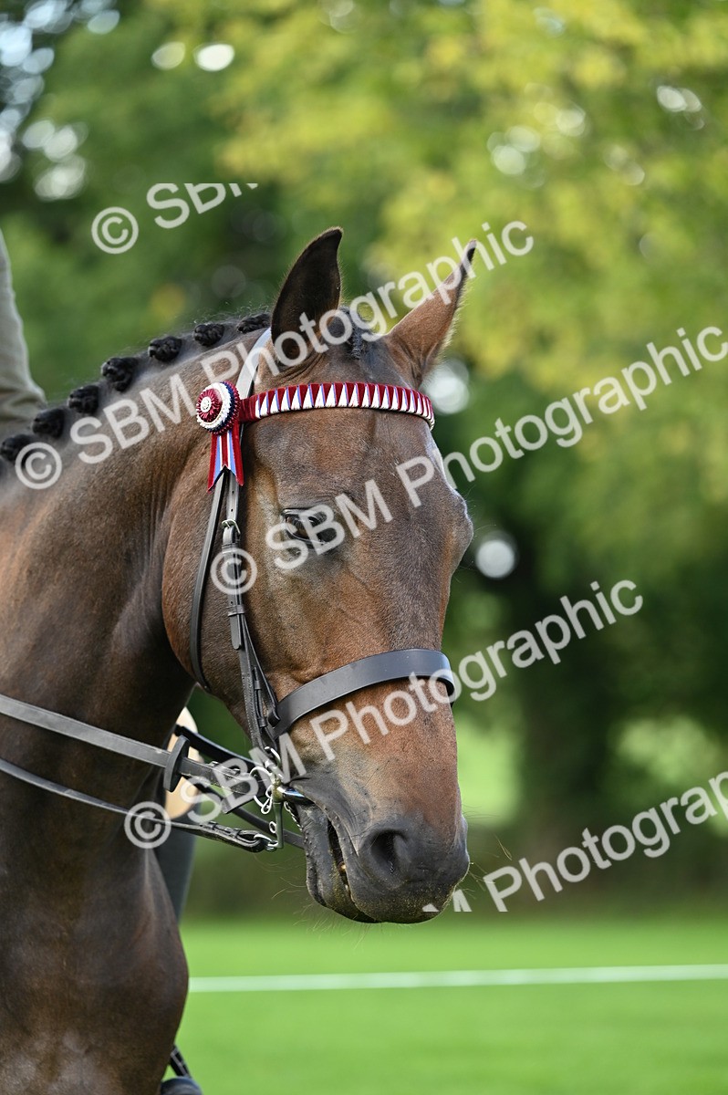 SBM_02078 - S2 - TSR Ridden Horse Showing
