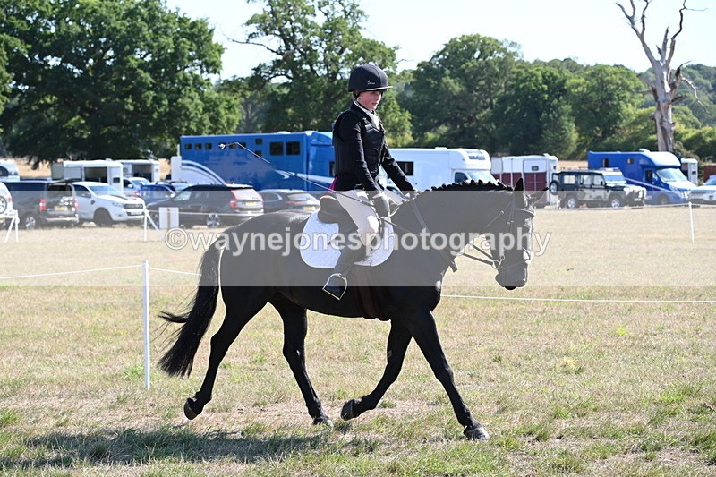 WJ6_7528 - Class 34 Judges Choice
