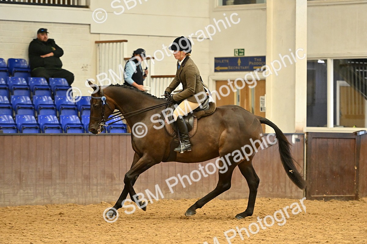 SBM_002007 - Class 24 - BSHA Ridden Racehorse to Show Horse