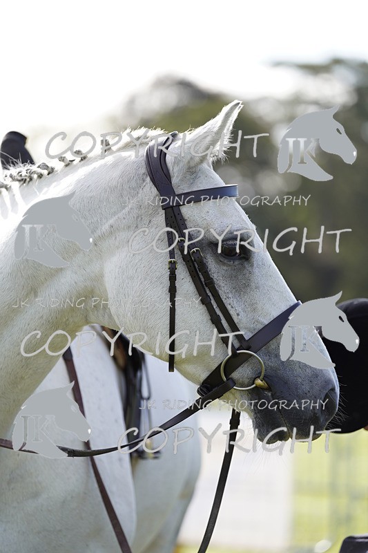 _DSC9570 - Class 8 & 17 Ridden Hunter & Ridden Hunter Pony