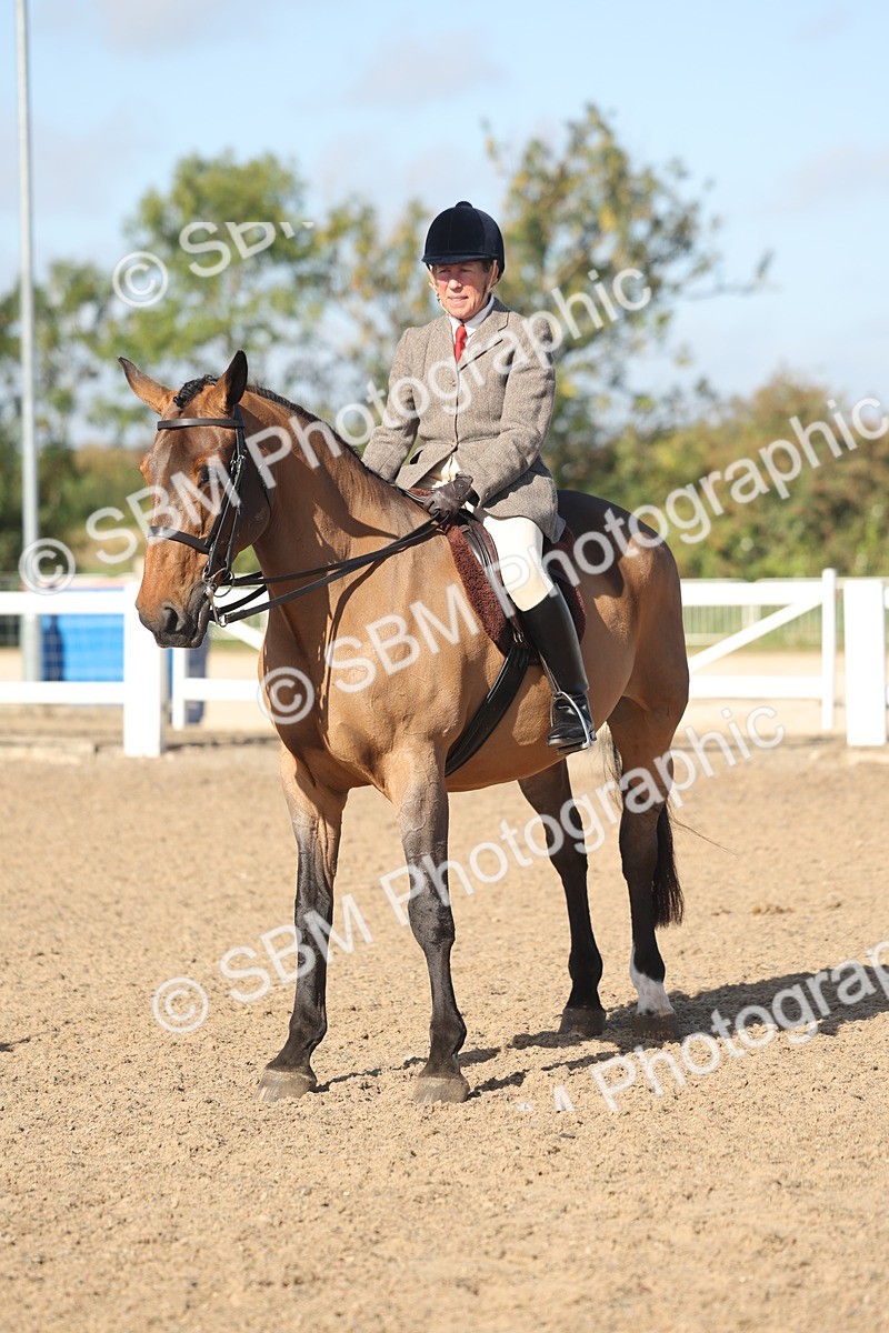 SBM_22312 - Class 803 - Ridden Combination 65+
