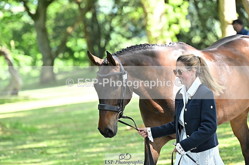 250521A-160009-00855 - C-279-Kitty.King-DASSETT.FLIGHT.PATH