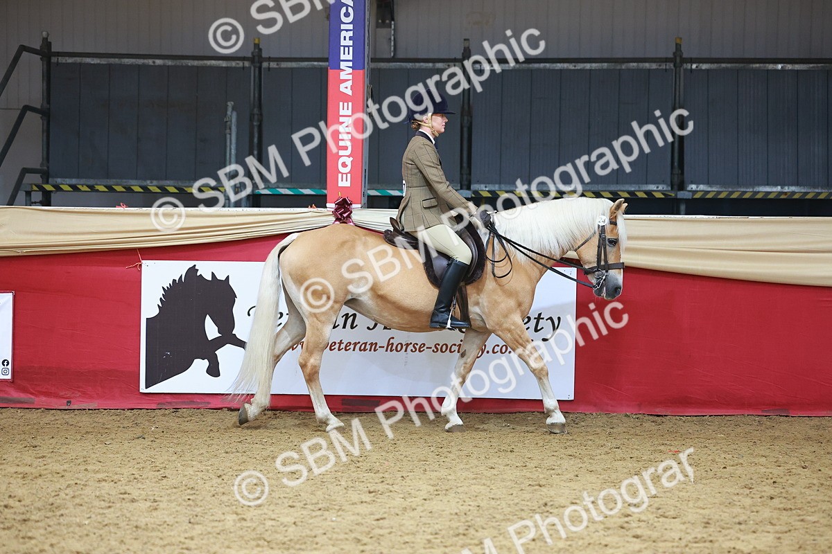 SBM_09589 - Class 102 - HOYS Veteran Qualifier - Ridden Veteran