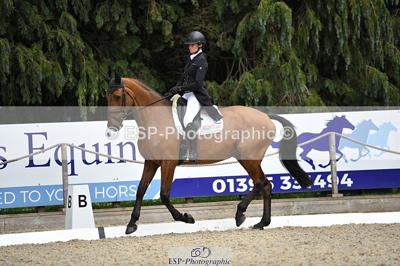 230525-153331-03271 - 327-ROMANTIC-Rosie_Fry-WEDTrotUp+DR