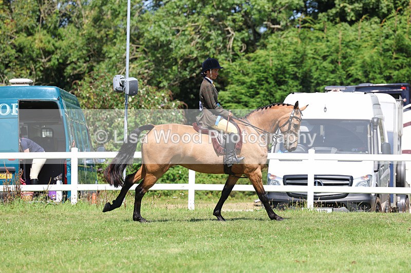 3E7A9145 - Working Hunter Championship